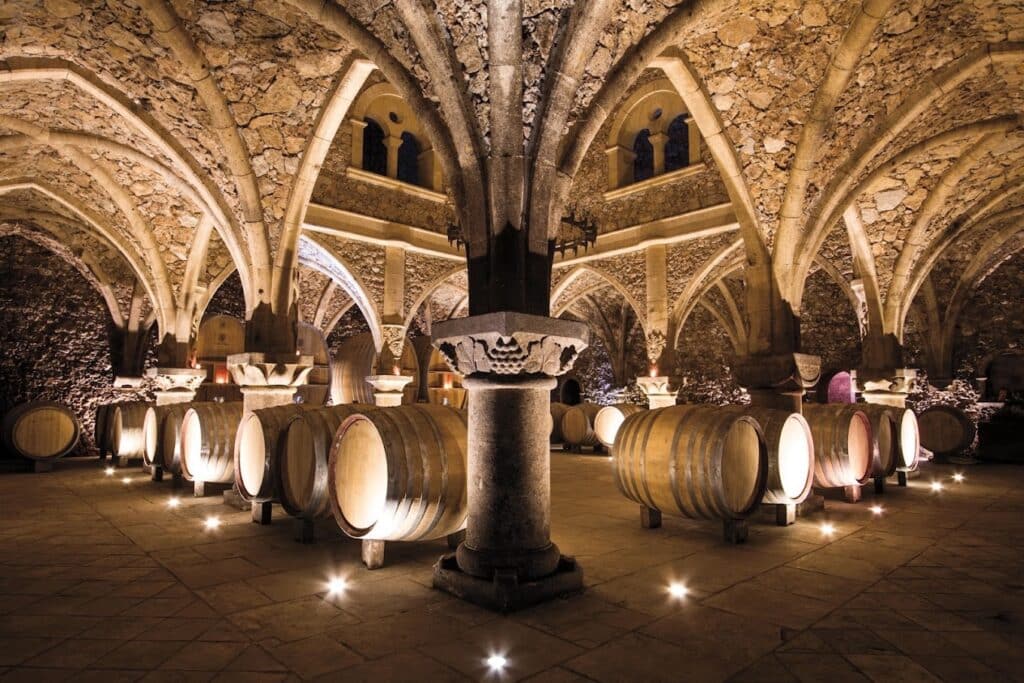 Vaulted cellar, wooden barrels, floor lighting.
