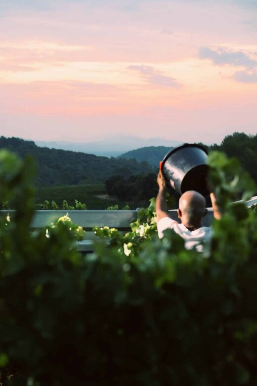 Les&#x20;vendanges&#x20;manuelles&#x20;&#x3A;&#x20;un&#x20;&#x00E9;tat&#x20;d&amp;&#x23;8217&#x3B;esprit