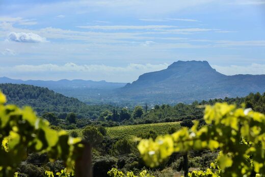 Vignobles Massa : domaines d’exception dans le Var