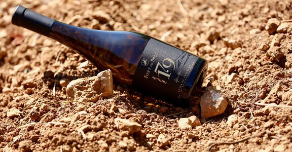 Wine tastings and room privatizations