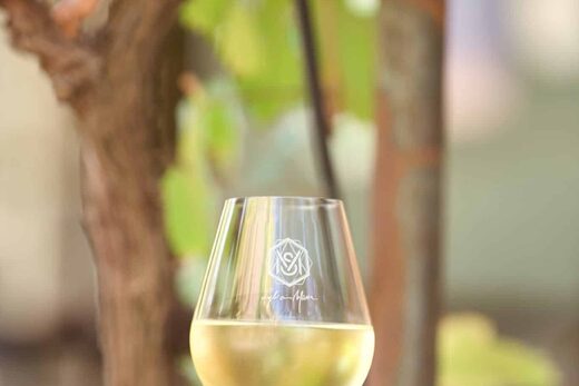 2 Étoiles au Guide Hachette des Vins 2025 pour le Massa Lia Blanc 2024