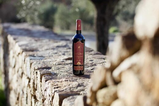 Vignobles Massa : domaines d’exception dans le Var